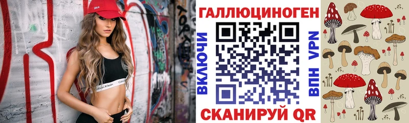 Псилоцибиновые грибы Cubensis  сайты даркнета клад  Щучье 